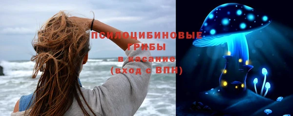 крисы Алексеевка