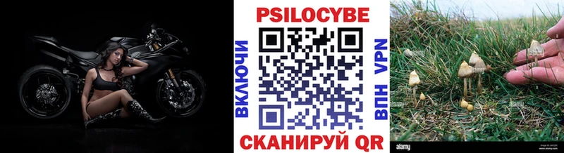 блэк спрут ССЫЛКА  Куса  Галлюциногенные грибы GOLDEN TEACHER 